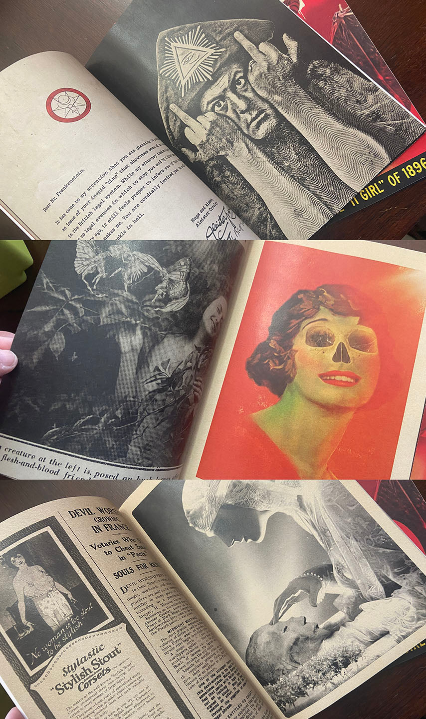 Human Fly: Unlovely Frankenstein's Epistolary of Excess, Issue #2