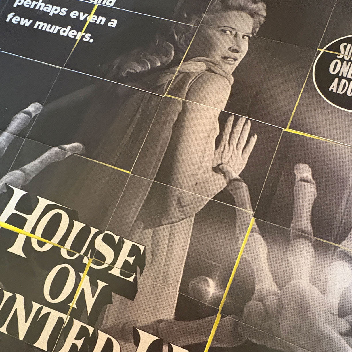 House on Haunted Hill | Custom set of 48 trading cards